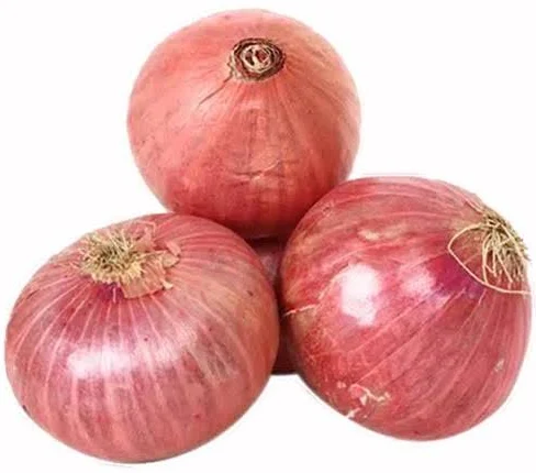 Onion